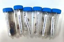 生物组织(1).jpg